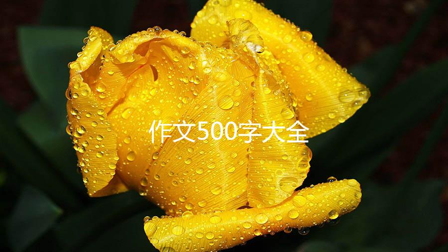 作文500字大全