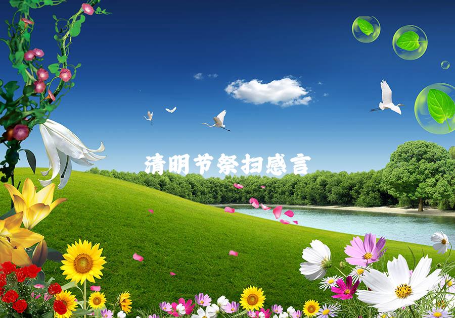 清明节祭扫感言