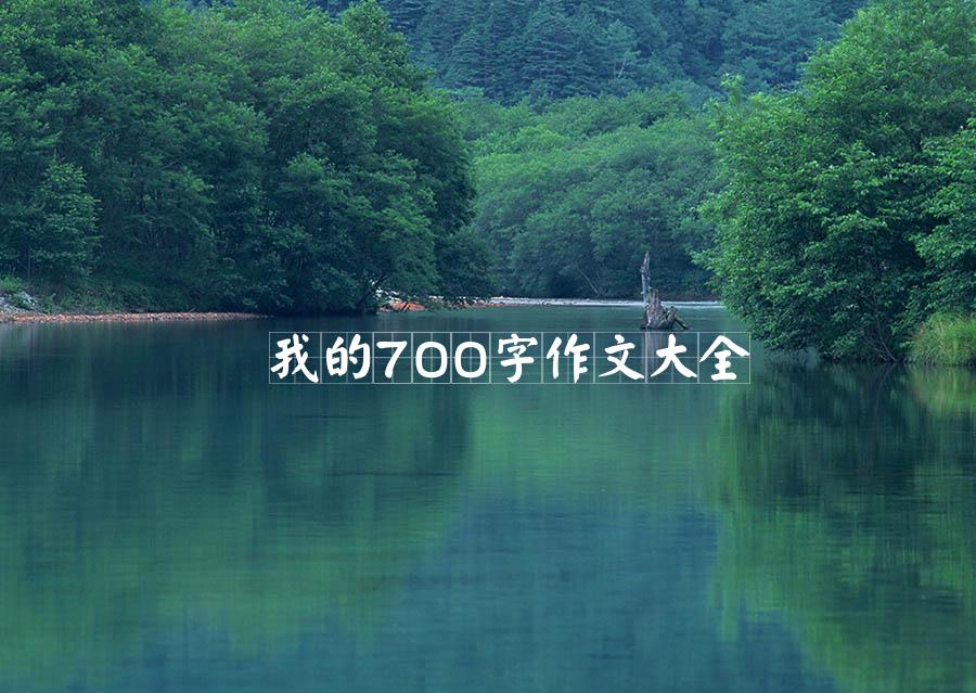 我的700字作文大全