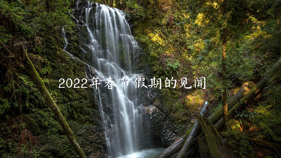 2022年春节假期的见闻