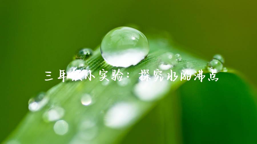 三年级小实验：探究水的沸点