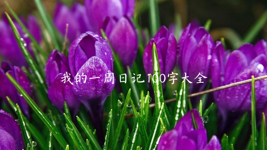 我的一周日记100字大全