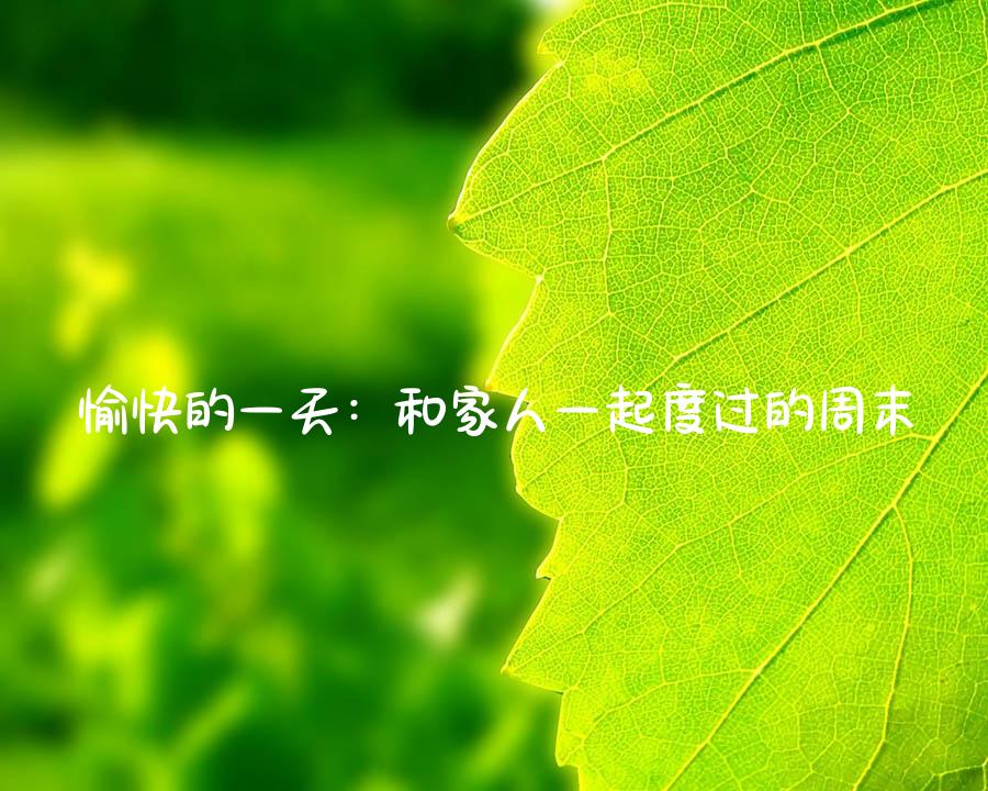 愉快的一天：和家人一起度过的周末