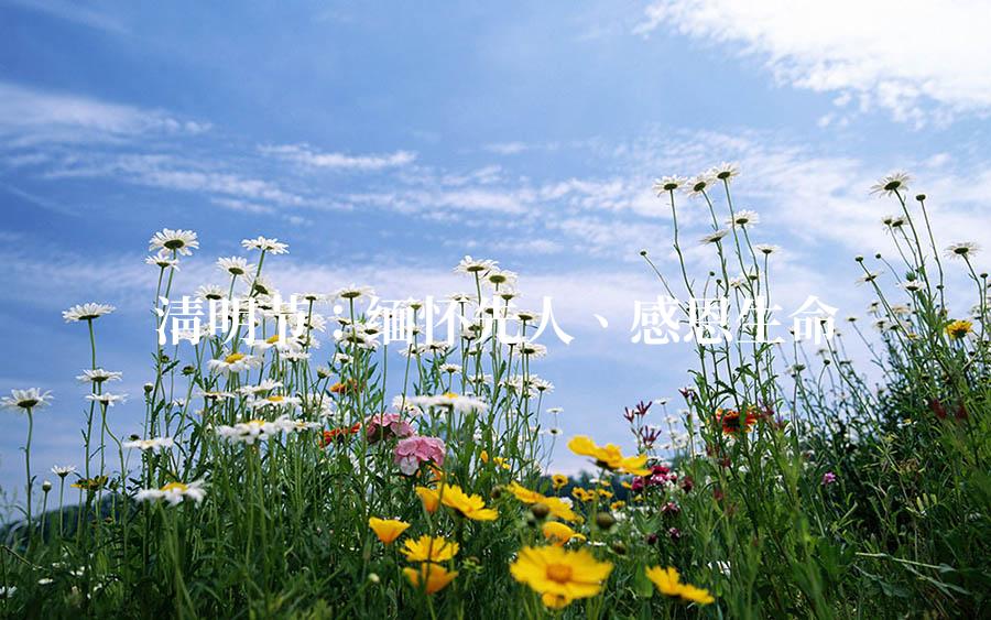 清明节：缅怀先人、感恩生命