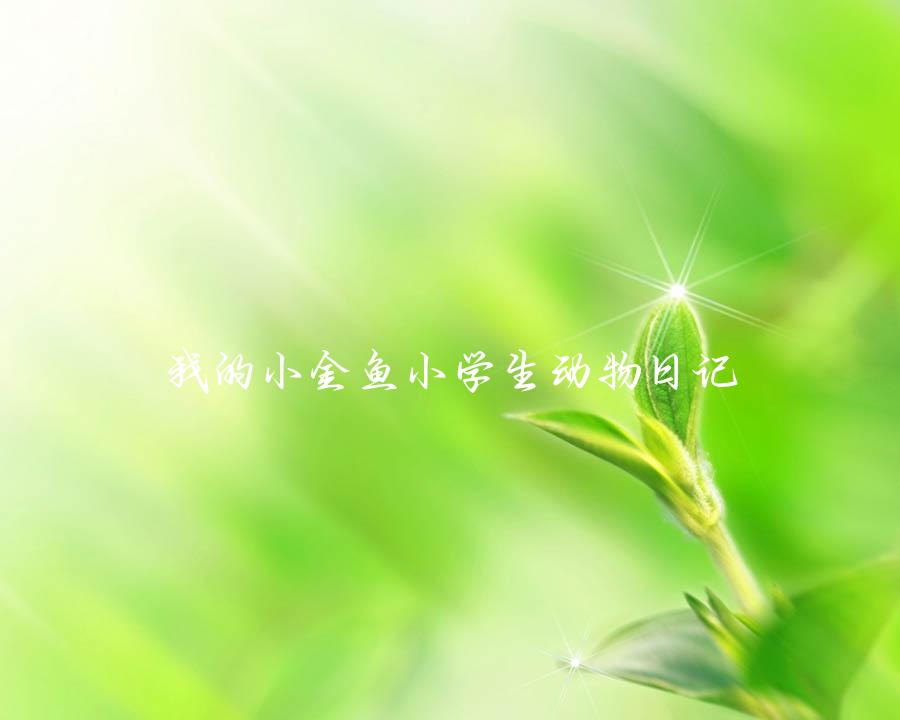 我的小金鱼小学生动物日记