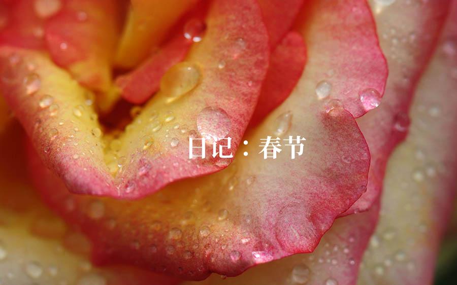 日记：春节