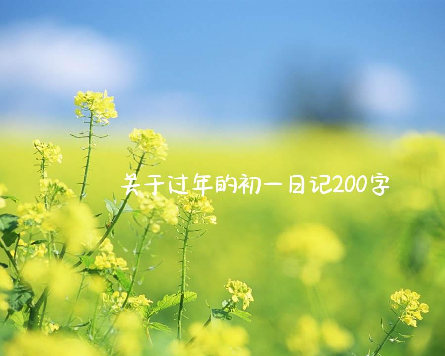 关于过年的初一日记200字