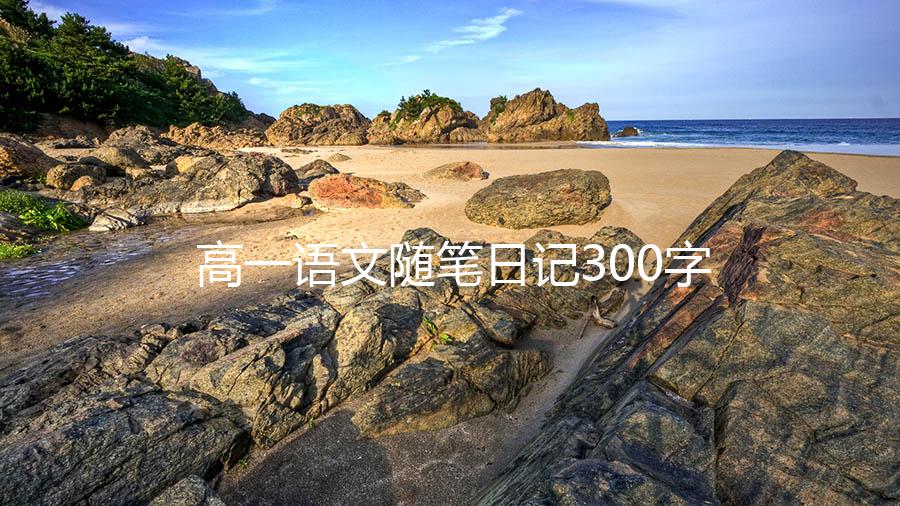 高一语文随笔日记300字