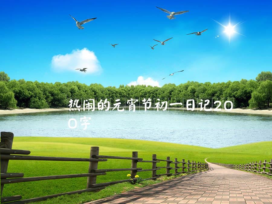 热闹的元宵节初一日记200字