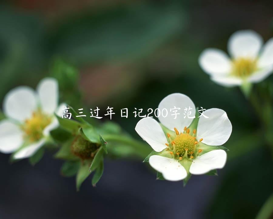 高三过年日记200字范文