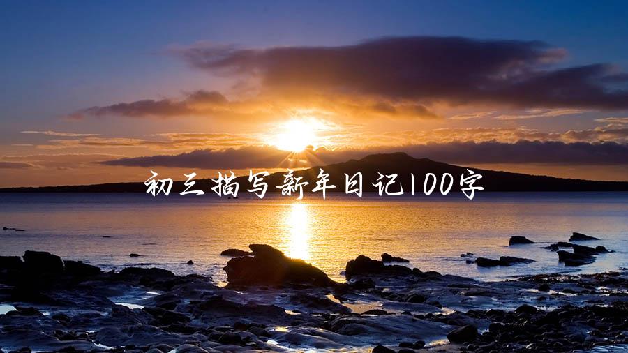 初三描写新年日记100字