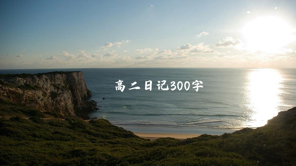 高二日记300字